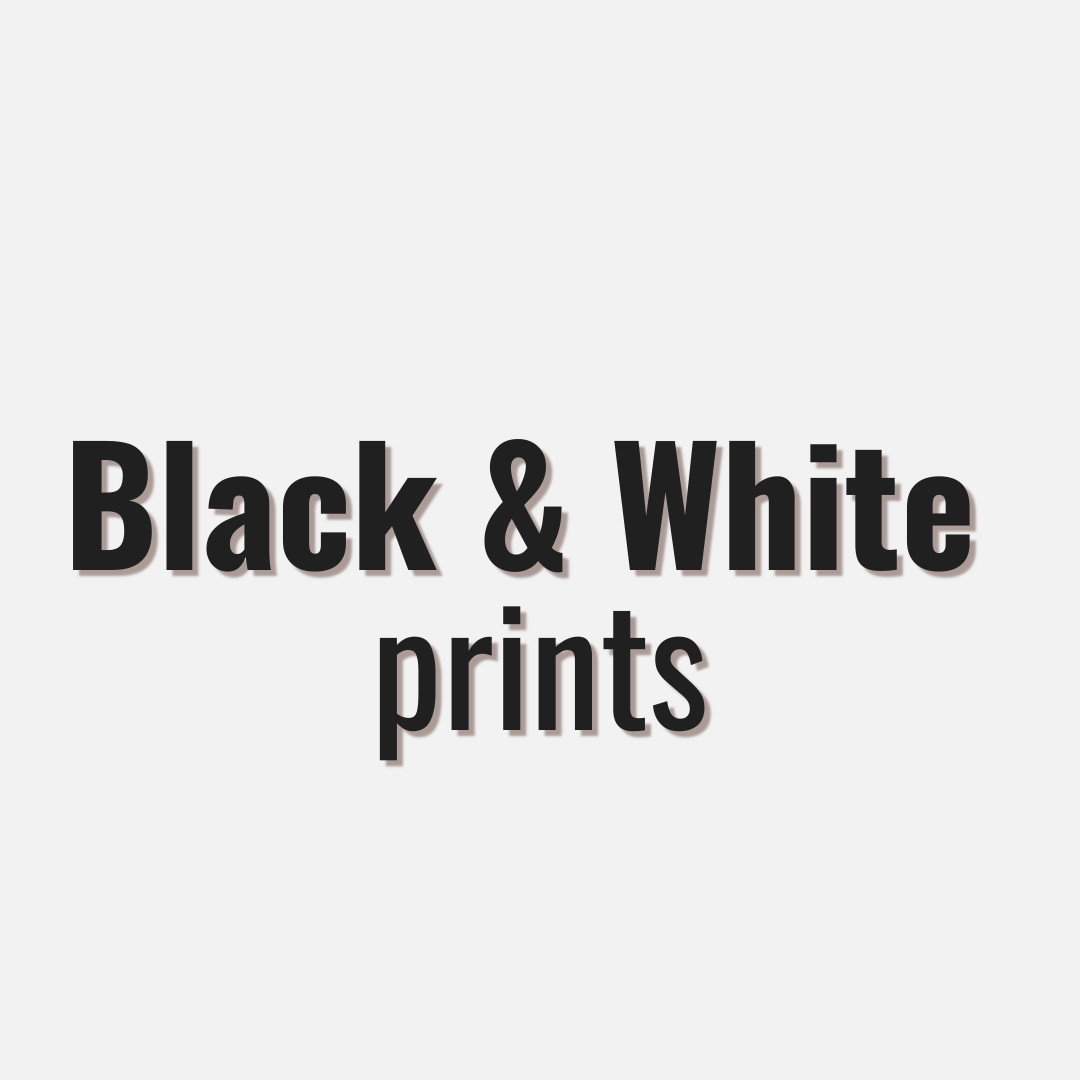 Black & White Animal Prints